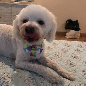 Meet your Posher, Vanessa